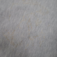 Load image into Gallery viewer, Vintage Champion Detroit Tigers Reverse Weave Sweatshirt - L