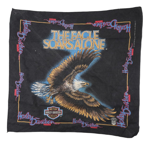 Vintage Harley Davidson 