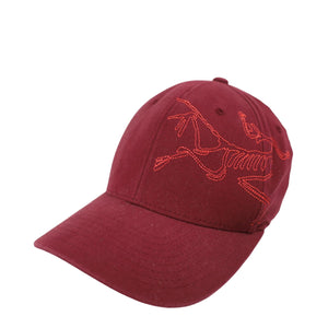 Arc'Teryx Big Bird Fitted Cap - S/M