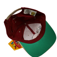 Load image into Gallery viewer, Vintage NWT Looney Tunes Taz Embroidered Hat - OS