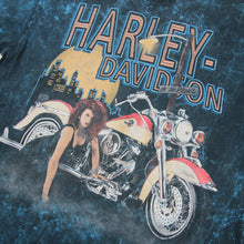 Load image into Gallery viewer, Vintage Harley Davidson &quot;On the Prowl&quot; Graphic T Shirt