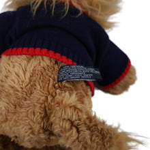 Load image into Gallery viewer, Vintage Tommy Hilfiger Lion Plush - OS