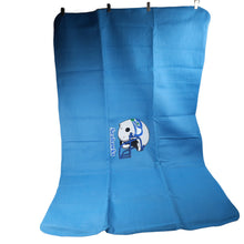 Load image into Gallery viewer, Vintage NFL Seattle Seahawks Throw Blanket