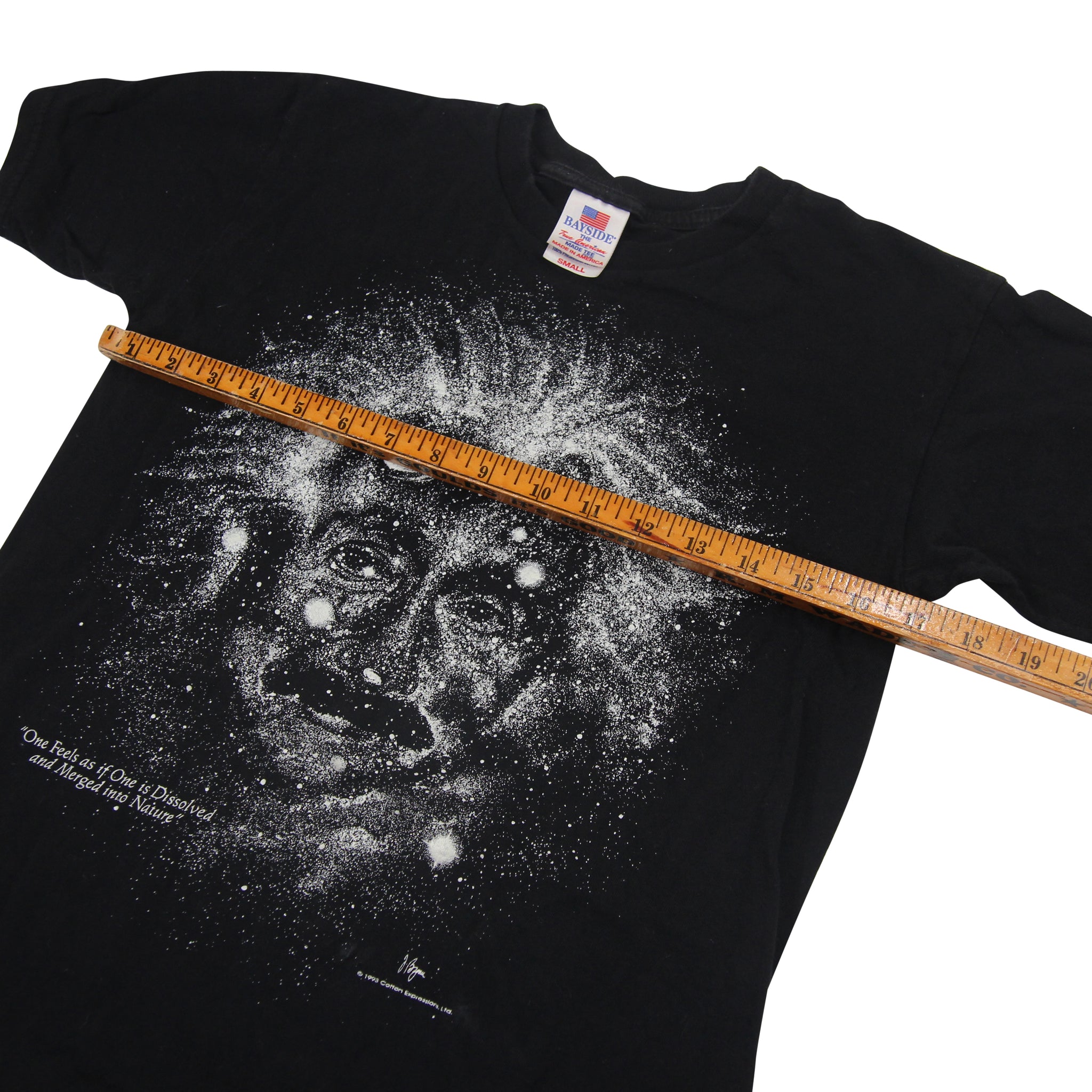 Vintage 1993 Cotton Expressions Very Large Array Einstein Shirt