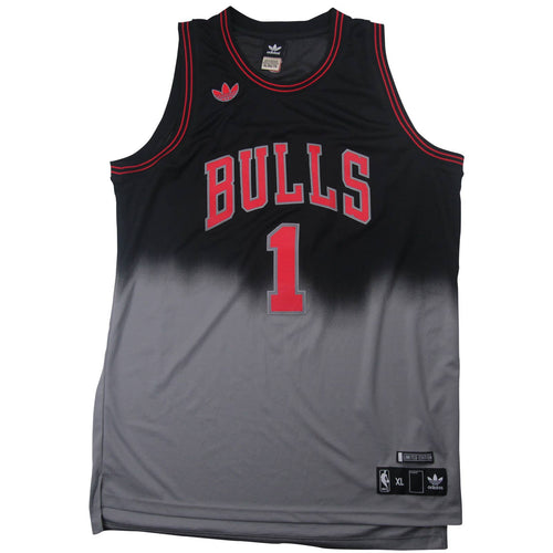 Vintage Adidas Chicago Bull Derrick Rose Limited Edition Gradient Jersey